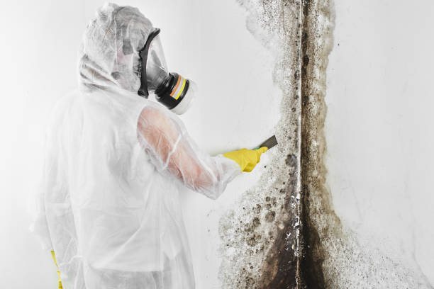Water Damage Restoration in Mount Clemens, MI